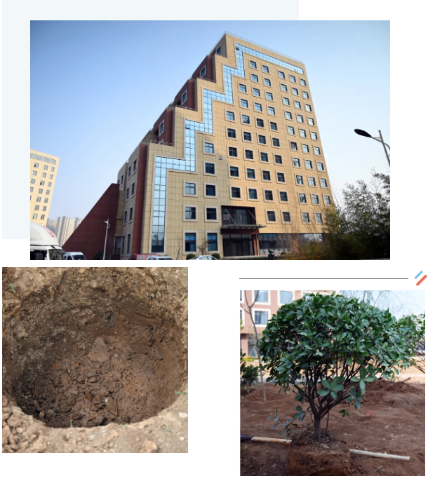 1719191812278044.png image.png